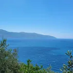 Blumare *
