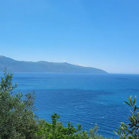 Blumare *