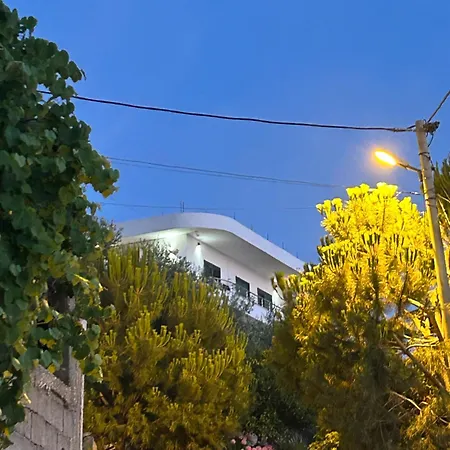 Blumare Vlorë