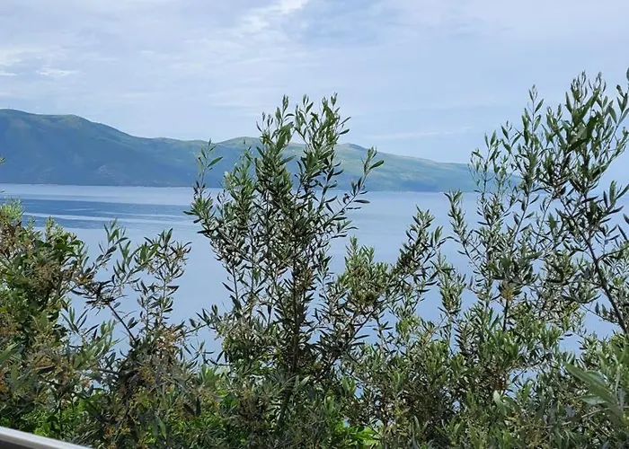Blumare Vlore